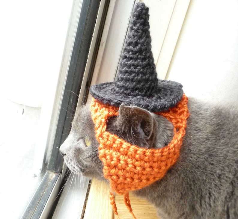Op de afbeelding: Een grijze kat met een zwarte en oranje gehaakte heksenhoed. De kat kijkt uit een raam.