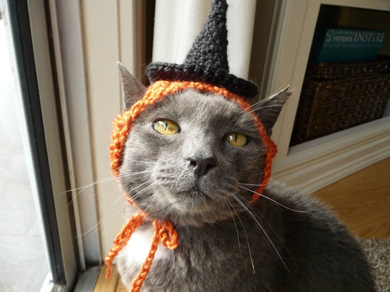 Op de afbeelding: Een grijze kat die een zwarte heksenhoed draagt met een oranje gehaakte rand. De kat kijkt recht in de camera.