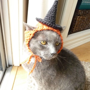 Op de afbeelding: Een grijze kat met een oranje en zwarte gehaakte heksenhoed. De hoed heeft een puntige zwarte top en een brede rand.