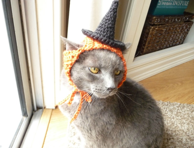 Op de afbeelding: Een grijze kat met een oranje en zwarte gehaakte heksenhoed. De hoed heeft een puntige zwarte top en een brede rand.
