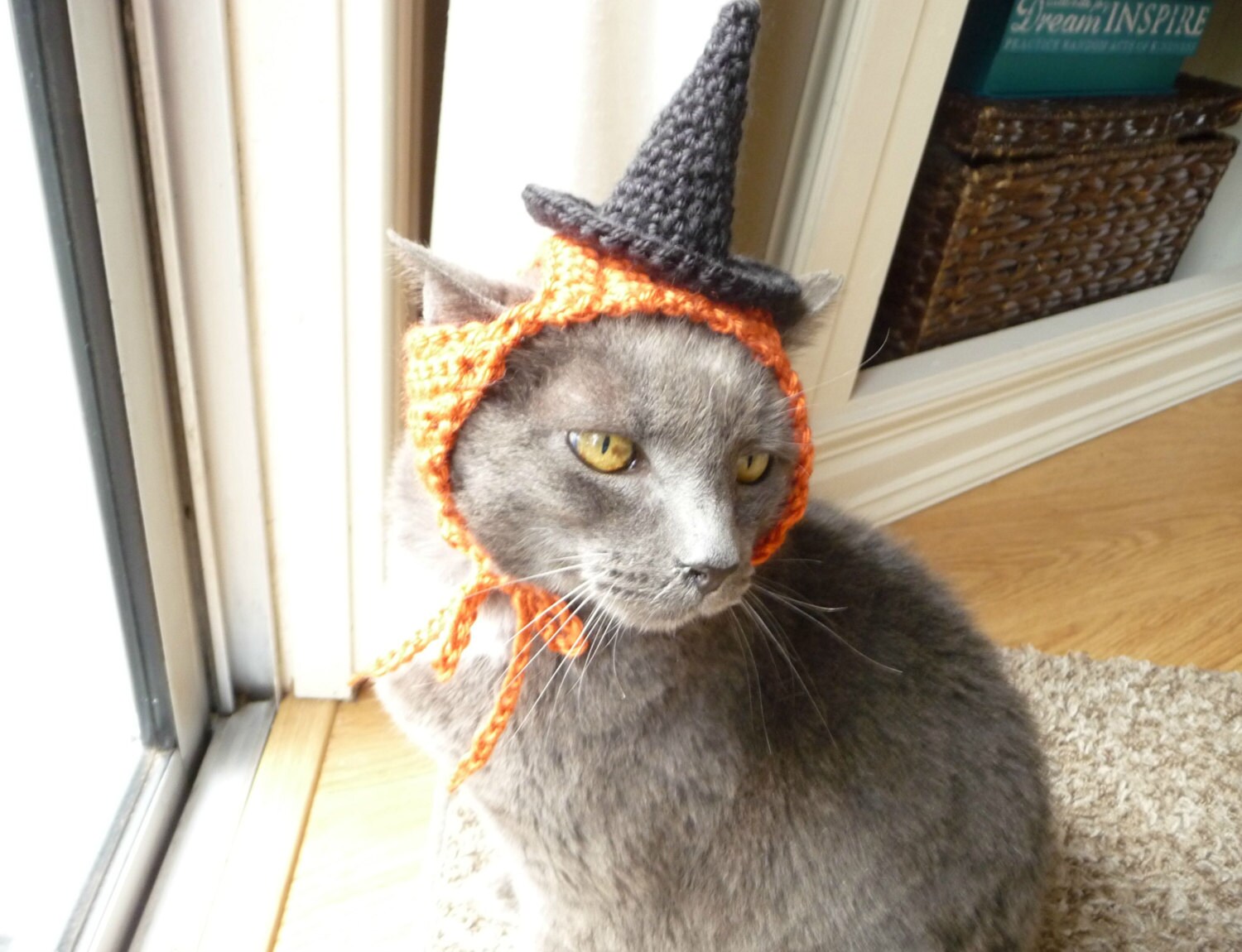 Cat Halloween Costume Crochet Pattern Cat Costume Witch Etsy
