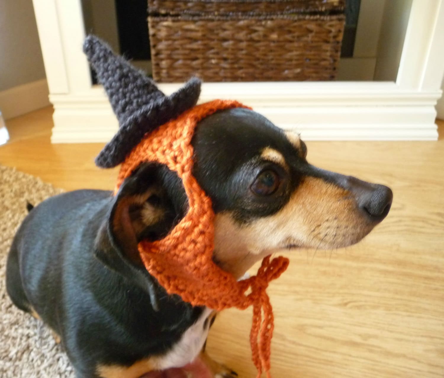 39 Dog Hat Crochet Patterns to Make for Photos, Gifts, and Festive Dress-Up 21 Dog Halloween Costume Crochet Pattern Dog Costume Witch