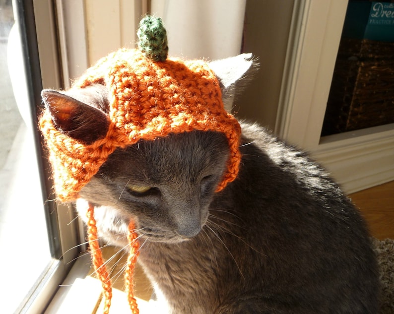 Cat Hat Crochet Pattern Thanksgiving Pumpkin Cat Costume Hats Etsy