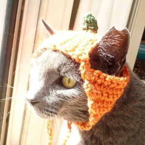 Cat Hat Crochet Pattern Thanksgiving Pumpkin Cat Costume Hats for Cats Halloween Dog Hat Pet Hat Cat Clothes Cute Crochet Cat Hat Pattern