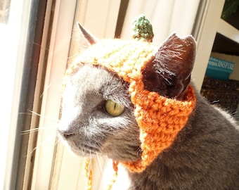 Chapeau de chat au crochet Costume de chat citrouille d'action de grâce Chapeaux pour chats Halloween Chapeau pour chien Chapeau pour animal de compagnie Vêtements pour chat Joli motif de chapeau de chat au crochet