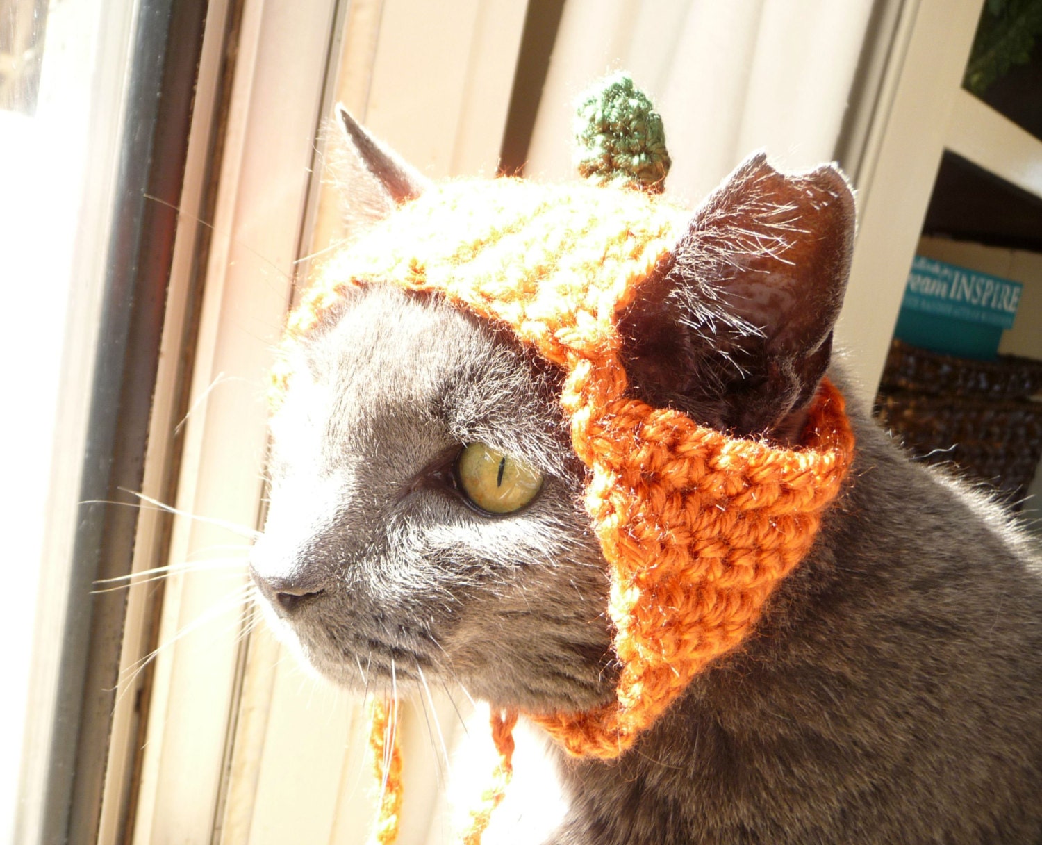 Pumpkin cat hat cat costumes hats for cats cat clothing cat accessories pet supplies pet accessories pet clothings