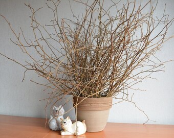 Decorative Branches Etsy