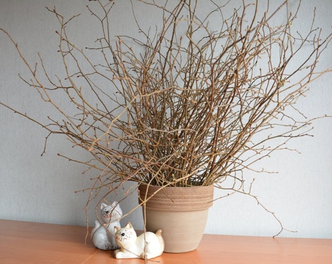 56 cm Hazel branches Decorative Hazelnuts Twigs Set of more 20 Etsy