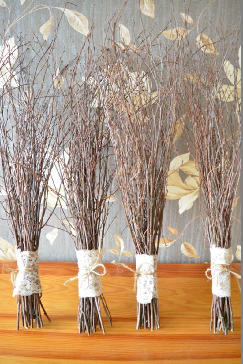 Branches De Bouleau - branches de bouleau et de pin rouge #noel #