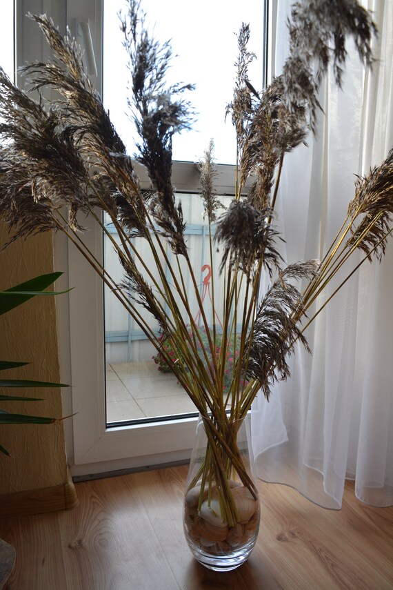 Reed grass Lake grass Rustic autumn decor Long plumes grass Real dried Plumes grass Flower arrangement Tall Vase filler Wedding decor il 570xN lm4z