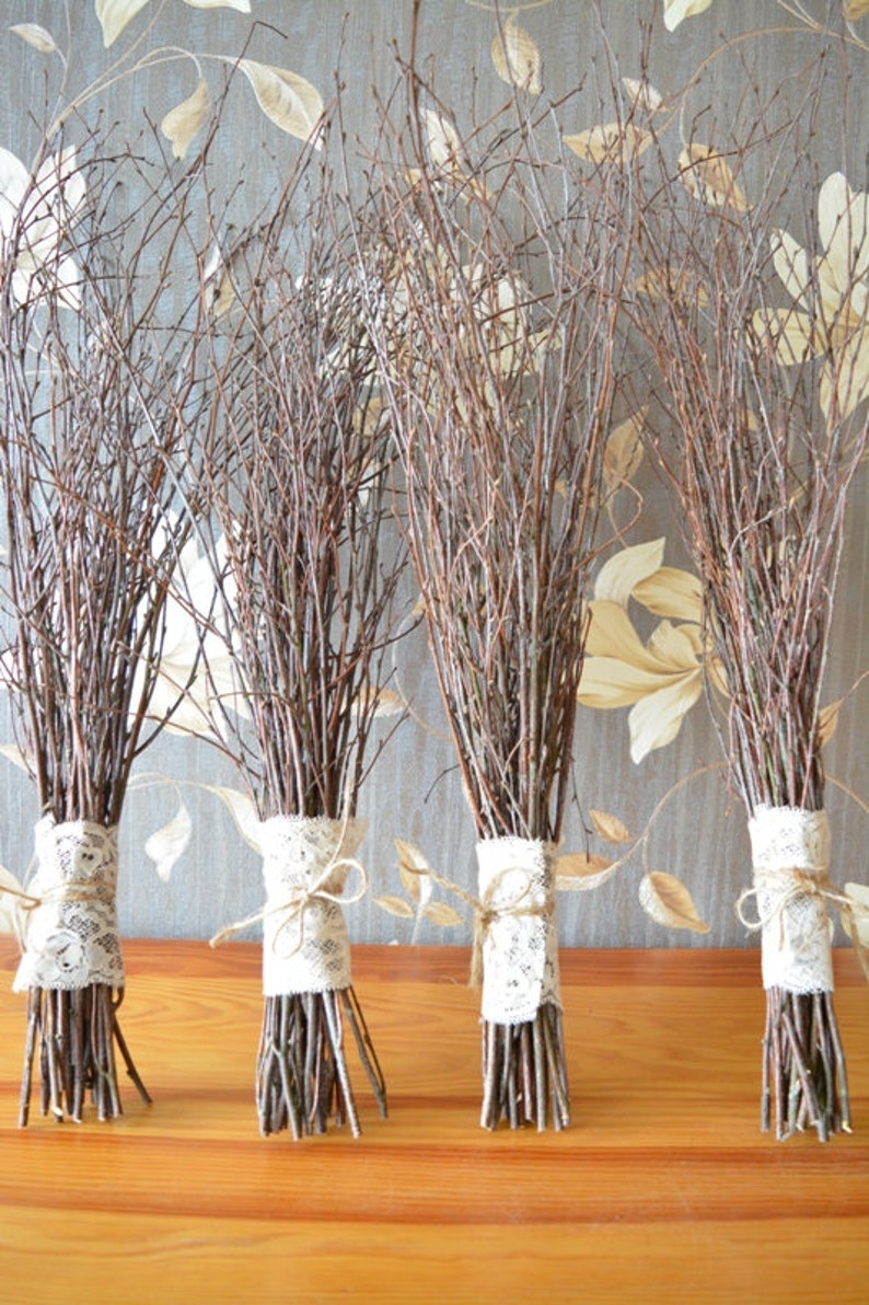 Branches De Bouleau - Bâtonnets de bouleau blanc/ensemble de 10