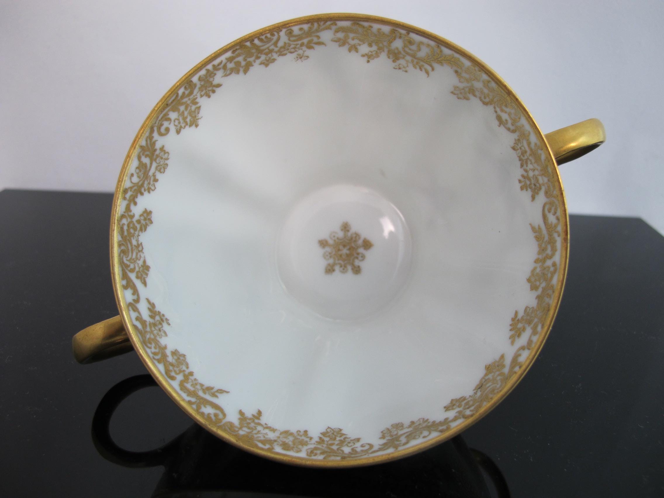 HAVILAND Limoges Rococo Style INSECT Floral Scroll Porcelain Soup Cup ...