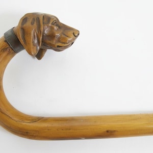 Pode incluir: Uma bengala de madeira com um punho esculpido em forma de cabeça de cão e uma coleira castanho-escura. A madeira tem um acabamento castanho-claro com veios visíveis ao longo de todo o punho curvo e do eixo reto da bengala.
