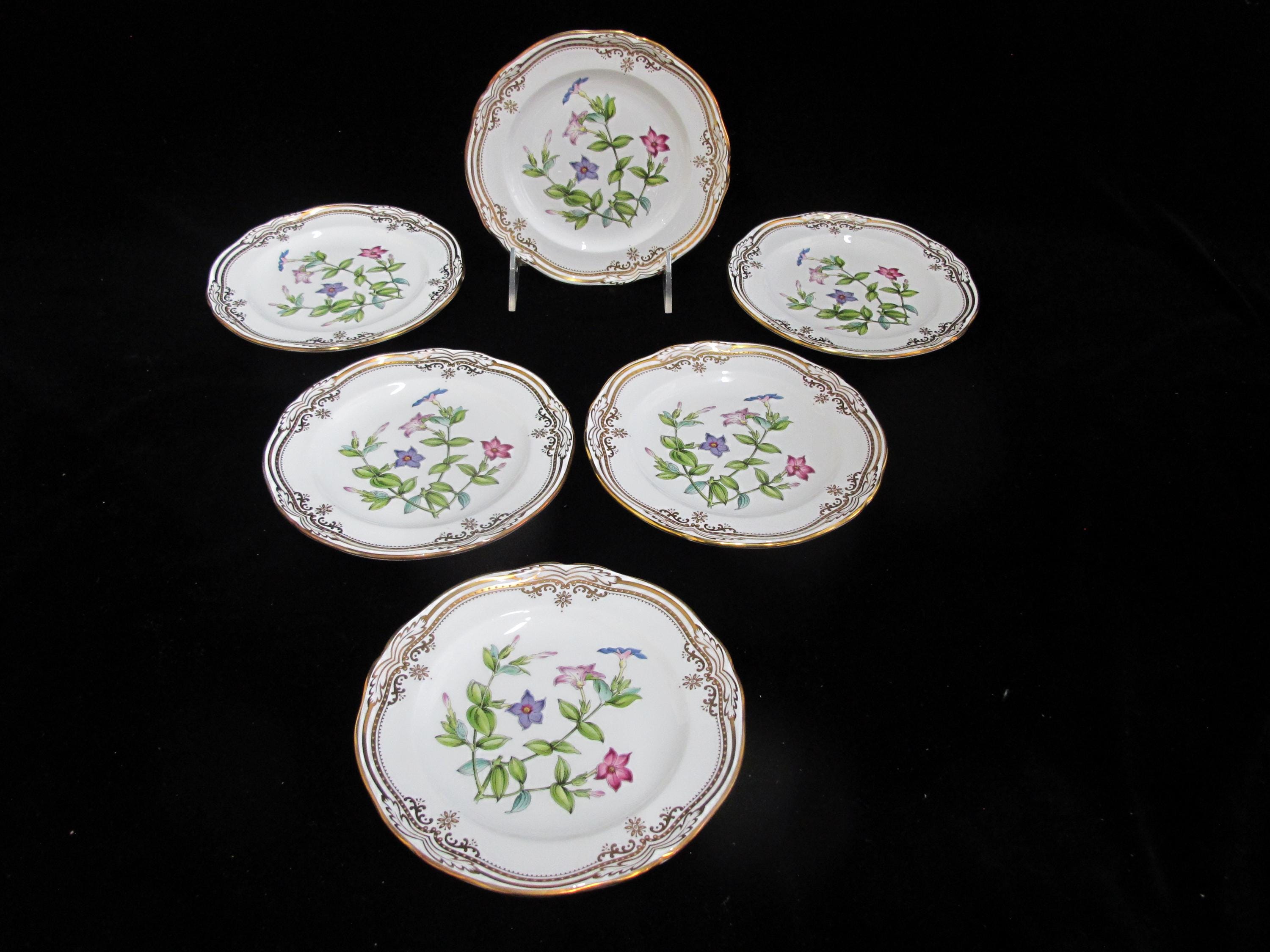 SPODE Stafford Flowers TACHIADENUS Bone China Bread & Butter Plate