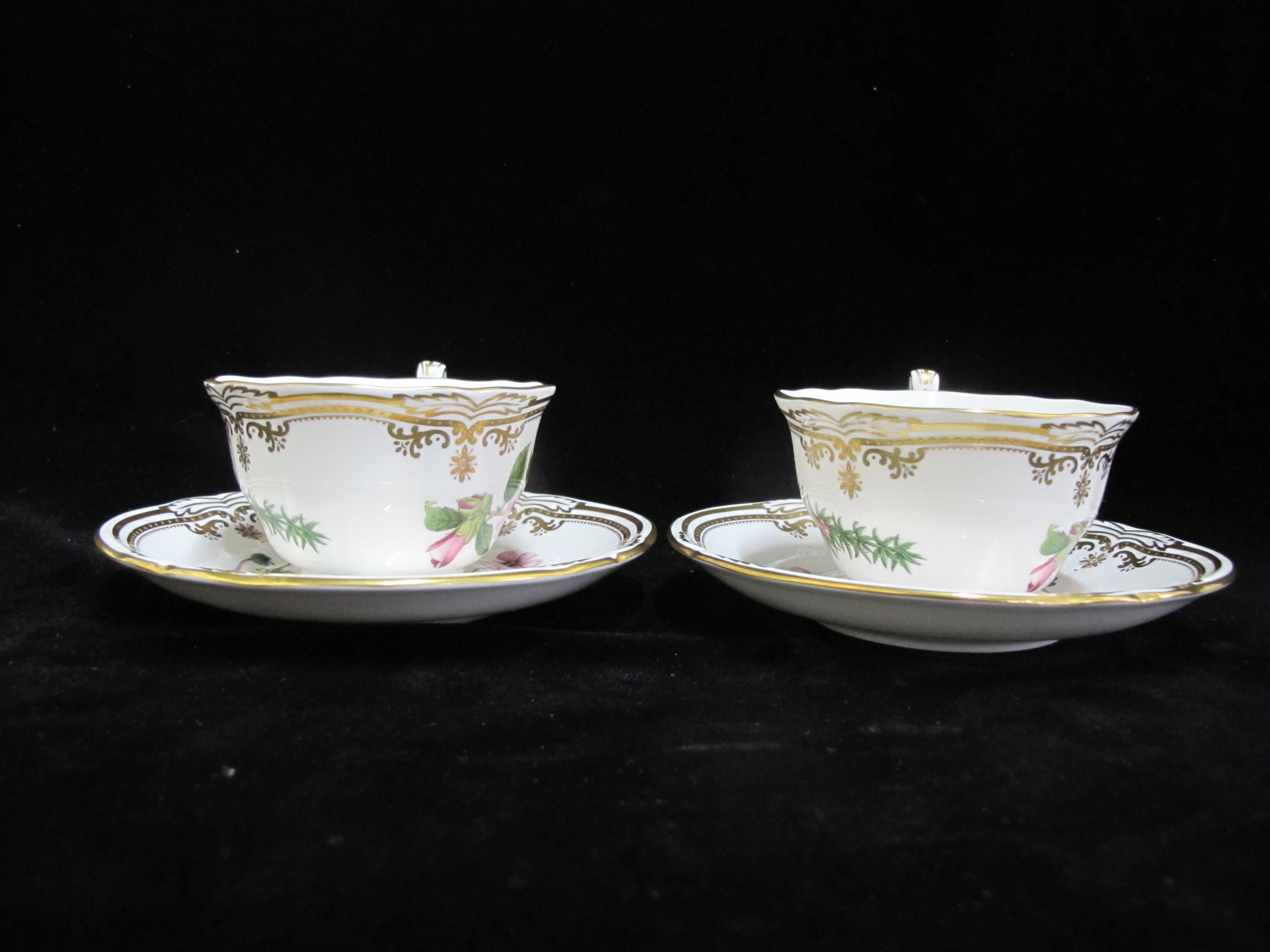 SPODE Stafford Flowers Oxalis Thumberia Camellia Oxalis CUP