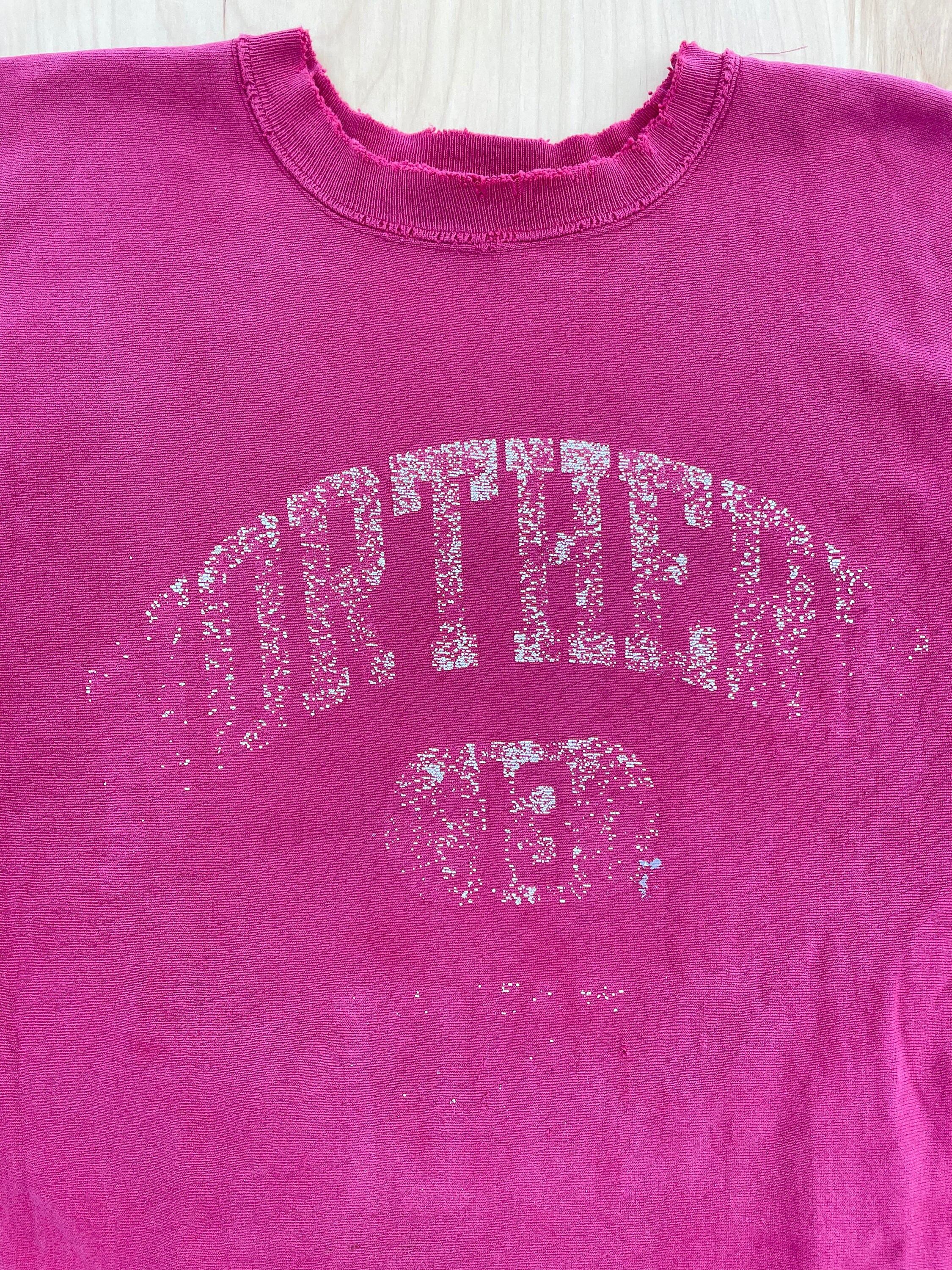 Northern Iowa Champion Reverse Weave Crew Neck Sweatshirt 90s