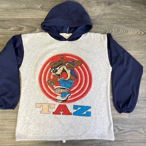 Taz Shirt 90s Vintage Hoodie Sweatshirt Color Block Hooded Sweater Looney Tunes Tasmanian Devil Pullover USA Small