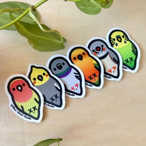 Cute Bird Sticker Pack • 6 Stickers • Lovebird, Budgie, Cockatiel, Sun Conure, Pigeon, Zebra Finch