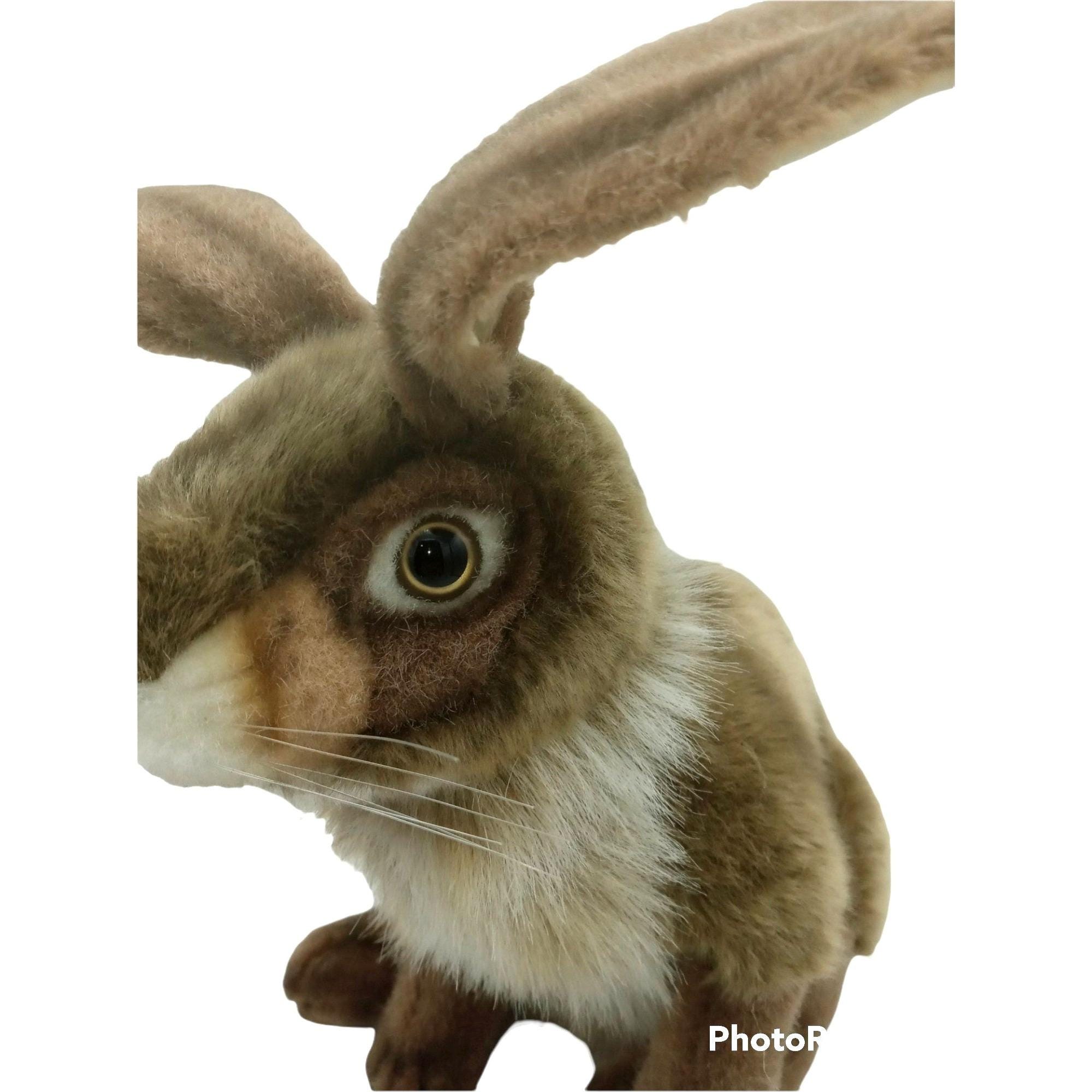 Hansa Jack Rabbit Hansa Bunny Rabbit 12