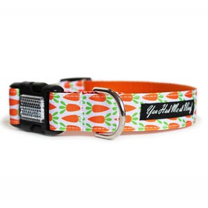 May include: Orange and white dog collar with a carrot pattern and the text "You Had Me at Woof" on a black tag.