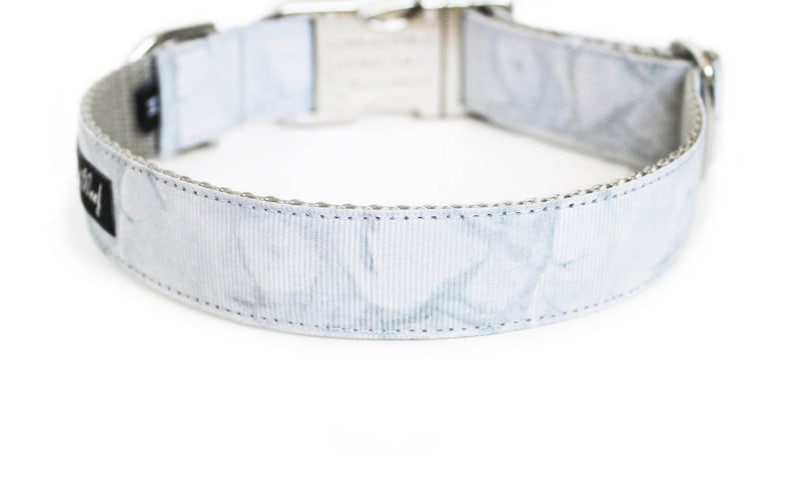 May include: A light gray dog collar with a marbled pattern. The collar has a silver-colored metal buckle and hardware. A small black tag with white text is sewn onto the collar.