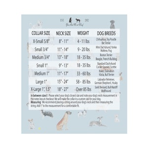 May include: A light blue chart with dog collar size information, including neck size, weight, and breed recommendations. The chart includes sizes from X-Small to X-Large, with measurements in inches and pounds. The text "You Had Me at Woof" is at the top.