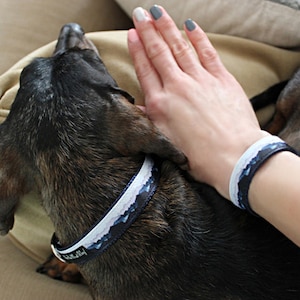 Può includere: Un cane bassotto nero e marrone con un collare a tema montagna blu e bianco è sdraiato su un divano beige. Una mano umana è appoggiata sulla schiena del cane. La persona indossa un braccialetto a tema montagna blu e bianco.