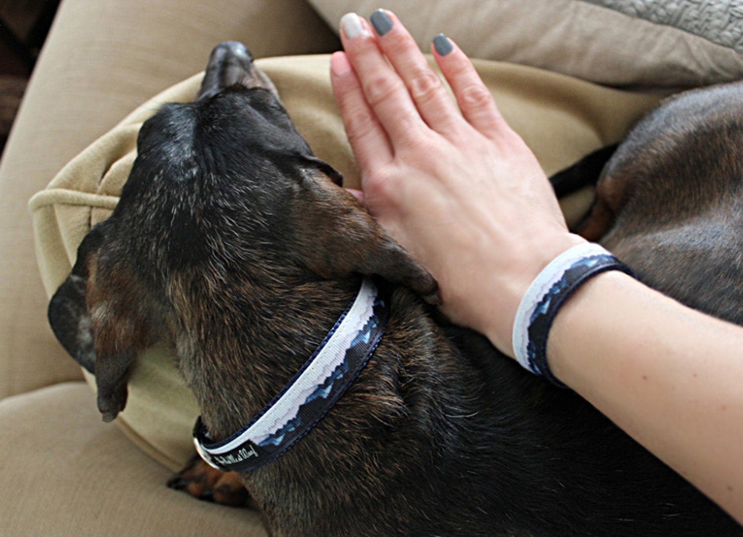 bff dog collar
