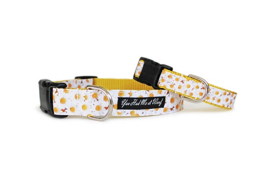 daisy puppy collar