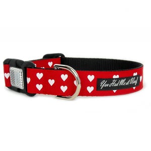 Valentines Day Hearts Dog Collar