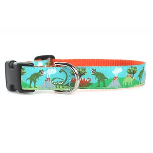 Dinosaur Dog Collar with T-Rex - Engraved Buckle Collar