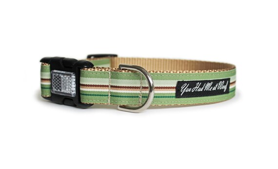 preppy dog collars