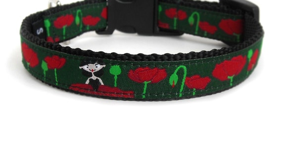 cute girl dog collars