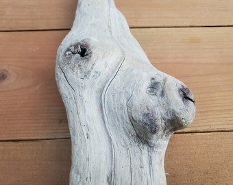 Gorgeous Sculptural Driftwood Piece-Smooth, Clean, and Lightweight