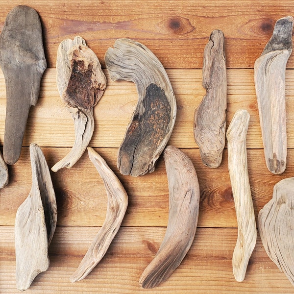 Driftwood-Set of 11 Interestingly Shaped Pieces