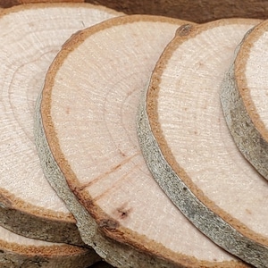 Oak Rounds, 29 Pieces, 1.5&quot; Diameter
