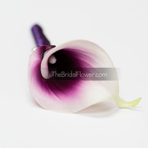 Calla lily wedding boutonniere, mens wedding button hole, prom boutonniere, wedding corsages, wedding boutonnieres, purple calla lily pin image 1