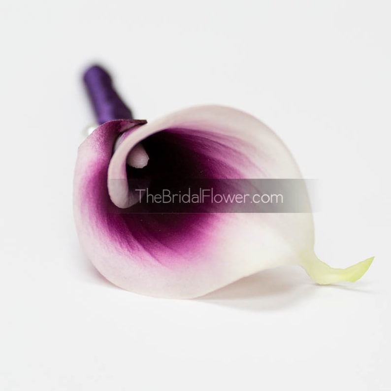 Calla lily wedding boutonniere, mens wedding button hole, prom boutonniere, wedding corsages, wedding boutonnieres, purple calla lily pin image 1