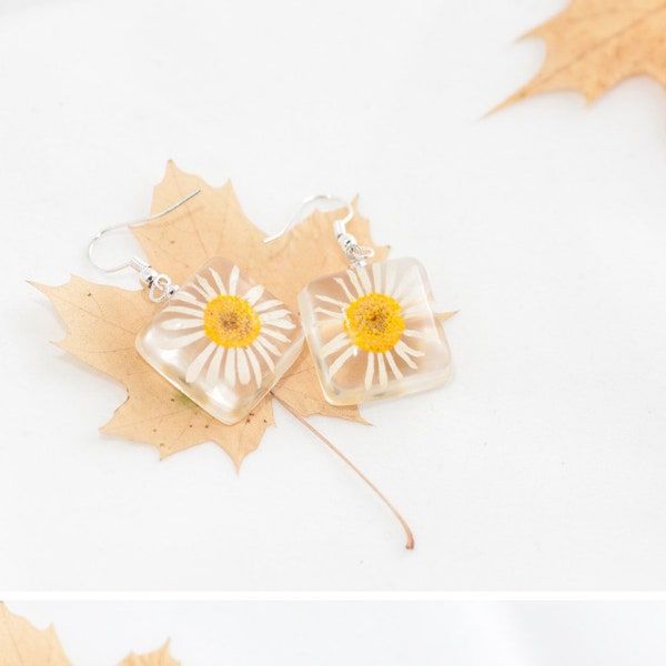 Pressed flower Daisy earrings - Floral resin jewelry