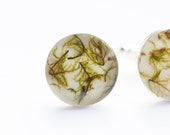 Rustic wedding resin cufflinks for groom - Green real Moss botanical cufflinks for him - Husband gift guide