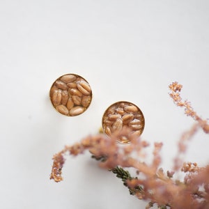 Boutons de manchette en blé véritable grains