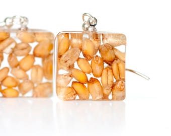 Corn earrings with real Wheat seeds earrings - Resin earrings Food miniature - Grain earrings - Nature inspired botanical jewelry