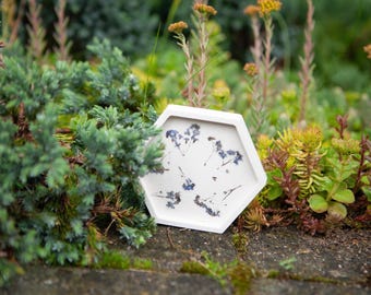 Jesmonite tray FORGET ME NOT flowers - Handmade gypsum decorative tray - botanical minimalistic home decor