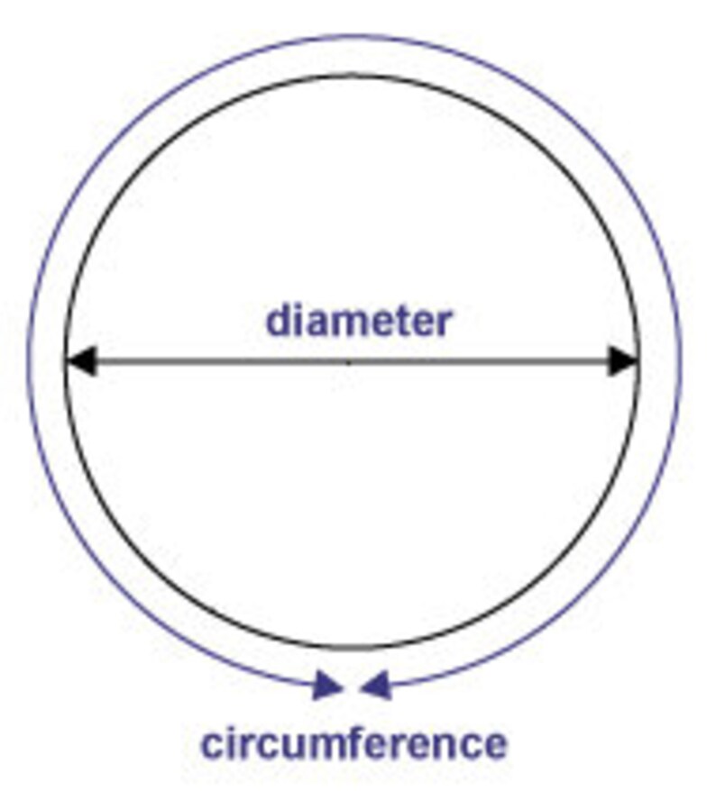 May include: Diagram illustrating the relationship between the diameter and circumference of a circle. The diameter is a straight line segment that passes through the center of the circle and connects two points on the circle's edge. The circumference is the distance around the circle.