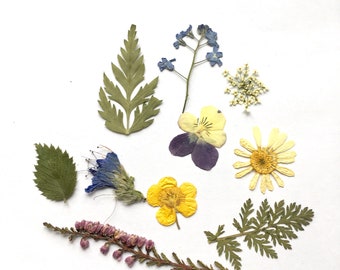 Dried flowers SET - Craft Supply pressed flowers - Handicraft flowers - Natural flowers for DYI lovers - Dried flowers for jewellery making