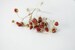 Dried wild strawberries for crafts - Pressed flowers - Crafts supplier red berry - strawberry set for soap making 