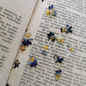 May include: A page from a book with text about a man named Galton and his research on fingerprints. The page is decorated with pressed purple, blue, and yellow flowers.