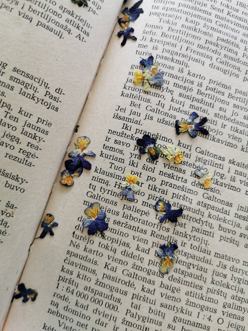 May include: A page from a book with text about a man named Galton and his research on fingerprints. The page is decorated with pressed purple, blue, and yellow flowers.