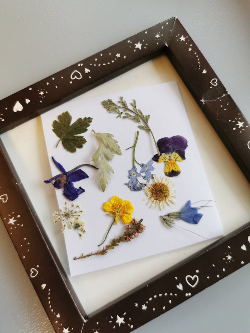 Dried flowers SET Craft Supply pressed flowers Handicraft Etsy