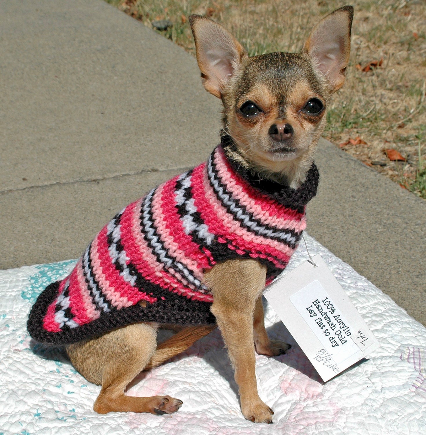 Easy & Cute Dog Sweater Knitting Pattern - Etsy